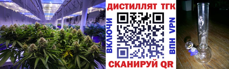Купить закладки  Красный Холм  ТГК вейп с тгк 